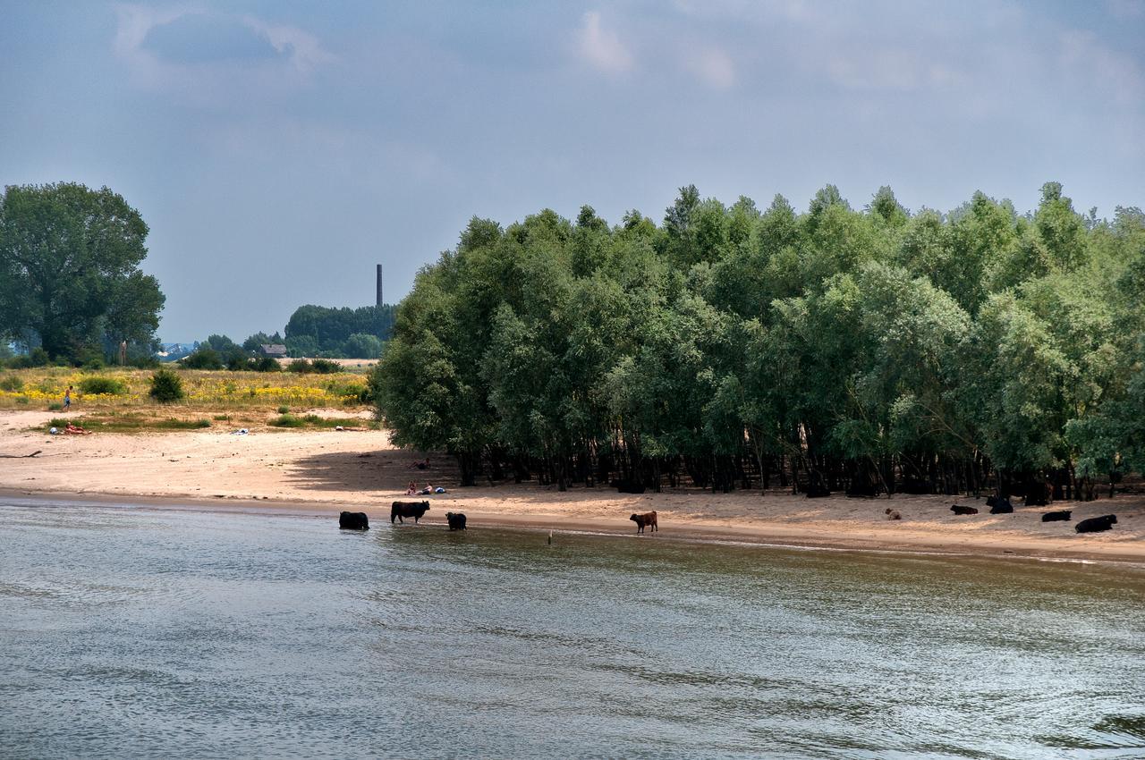 Hotel Restaurant Oortjeshekken Ooij Exteriér fotografie